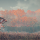 Assassin’s Creed: Valhalla